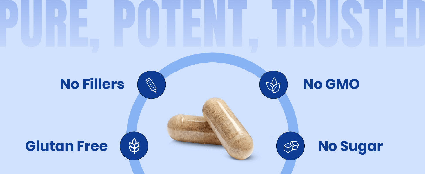 beginner whey protein, whey protein powder, whey protein