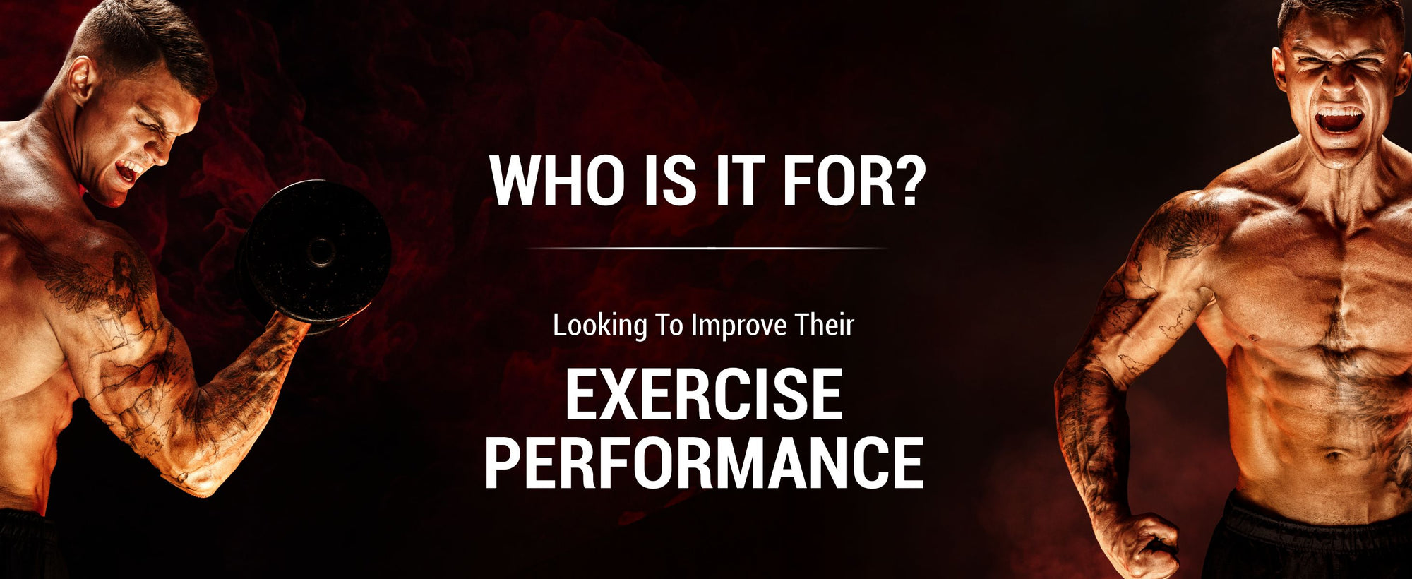 beginner whey protein, whey protein powder, whey protein