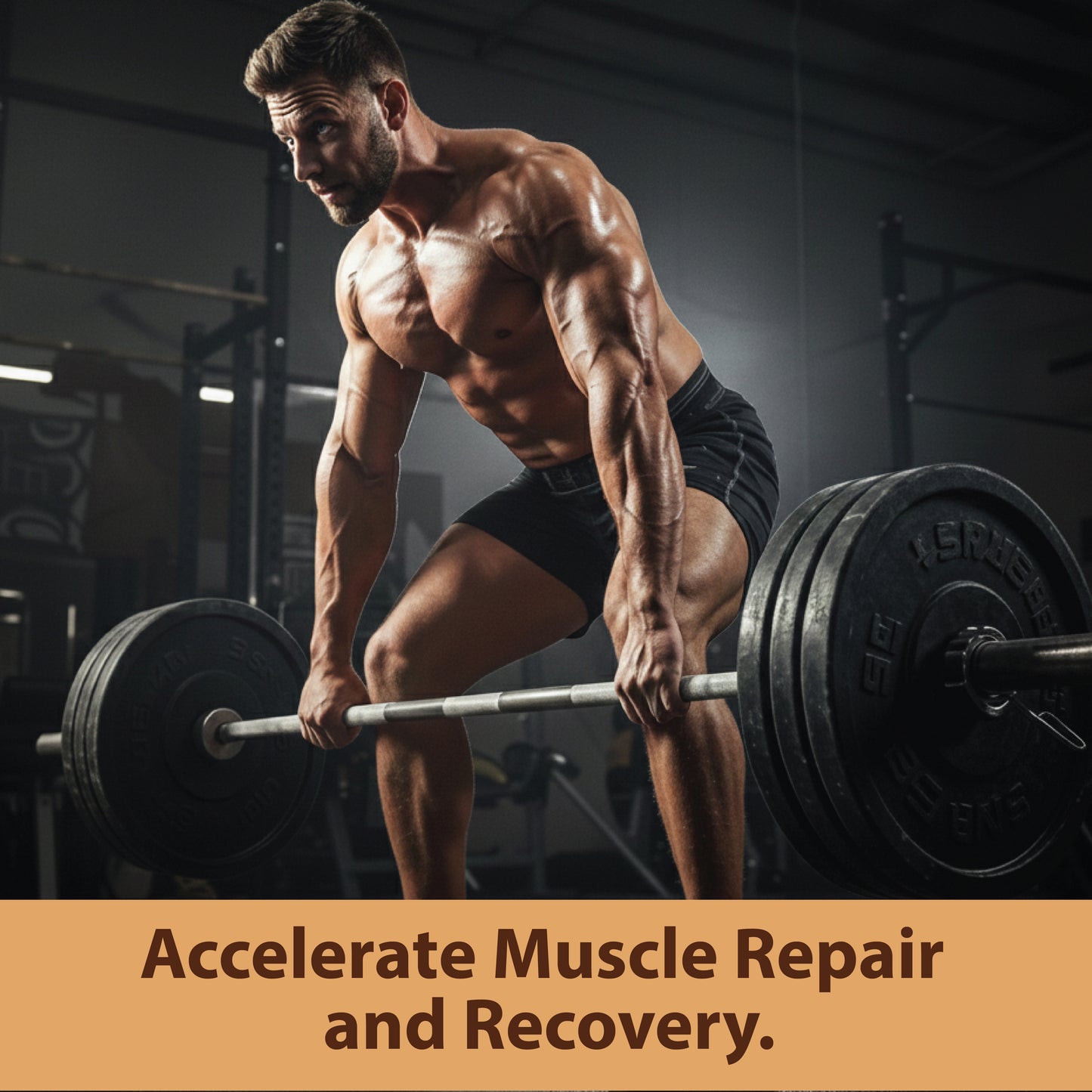 Bolt  Fermented Yeast Protein | 23g Protein| Peak Absorption | Superior Muscle Recovery | Gut Friendly | PDCAAS of 1-Dietary Supplements-Bolt Nutrition India-Bolt Nutrition