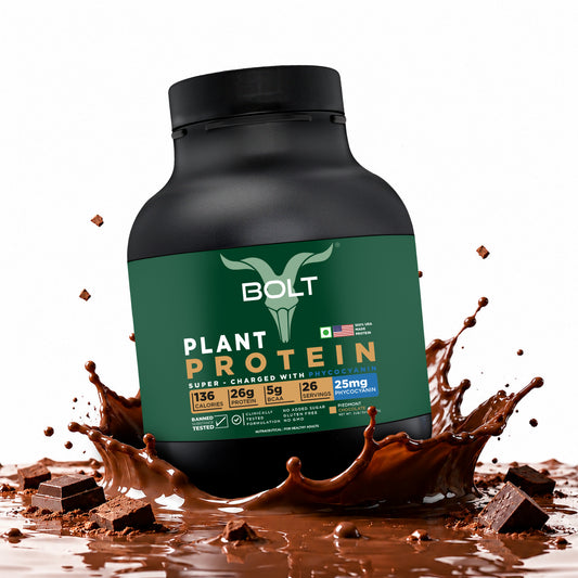 bolt plant based protein piedmont chocolate flavour