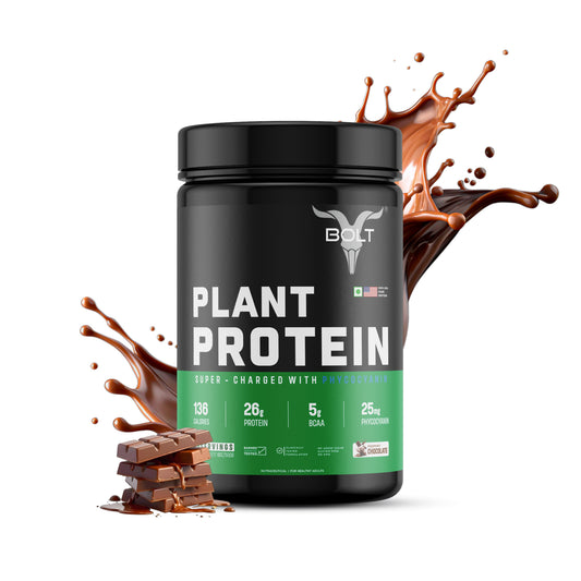 Biozyme Plant Protein Powder 500gm with piedmont chocolate flavur