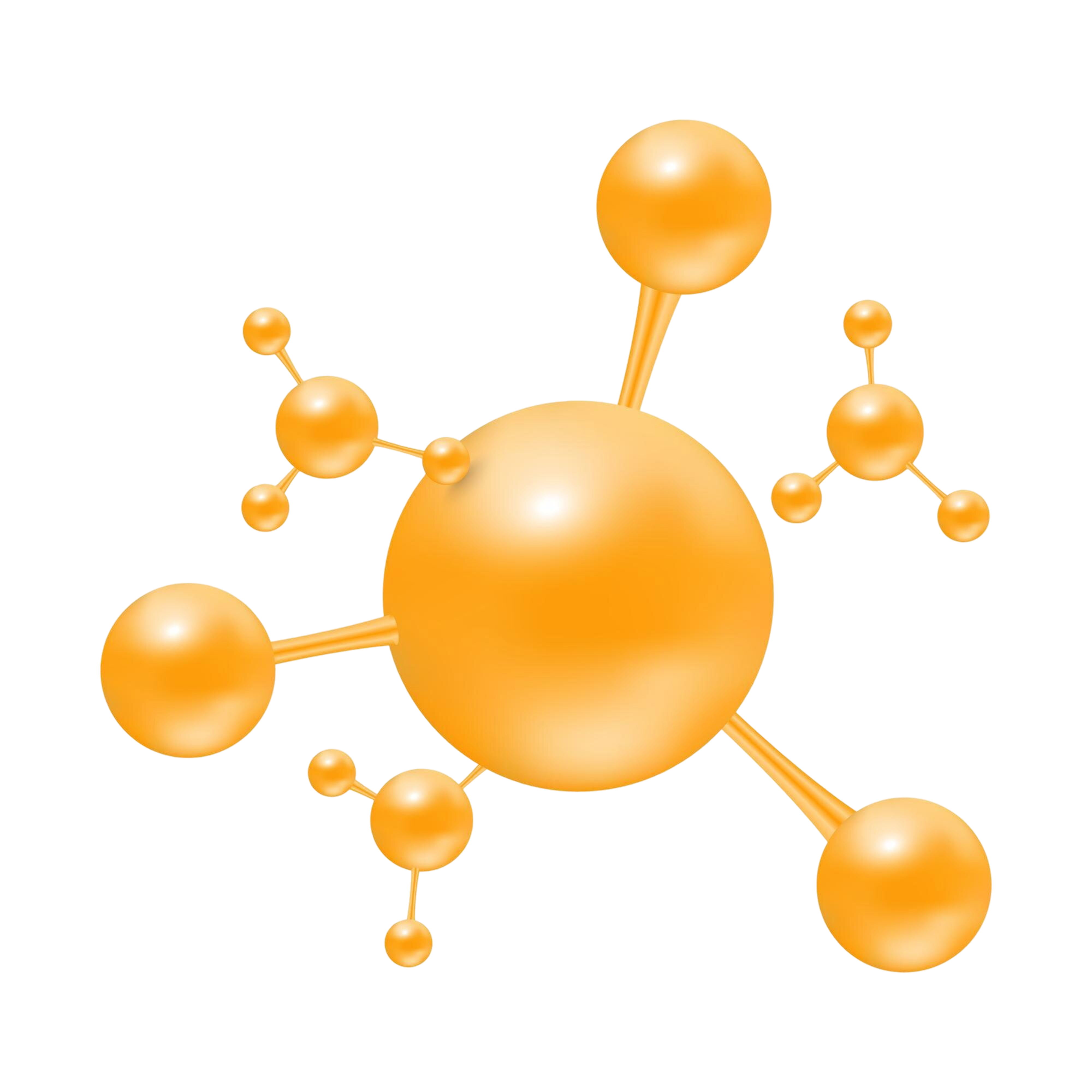 L-Carnitine