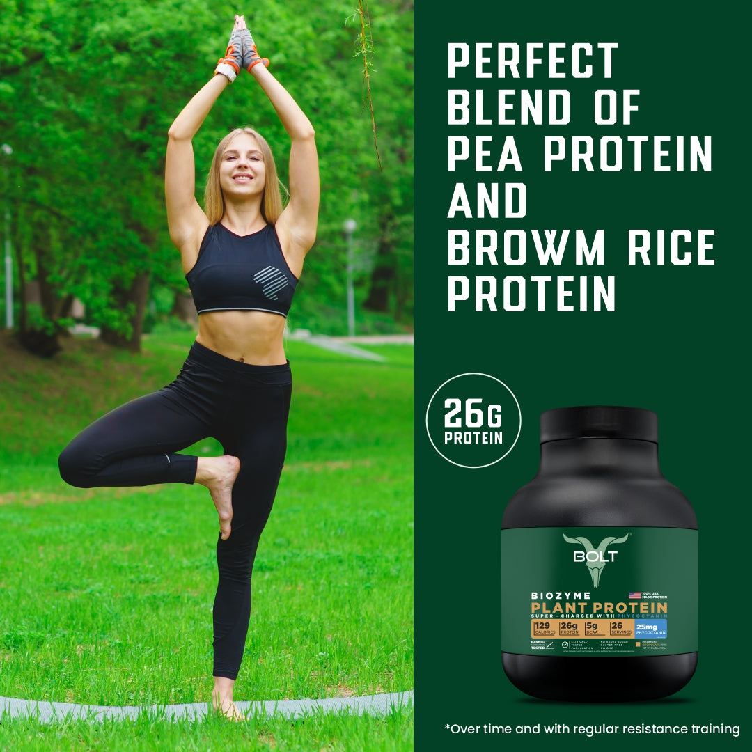 piedmont Pea Protein Isolate & Rice Protein Isolatehocolate