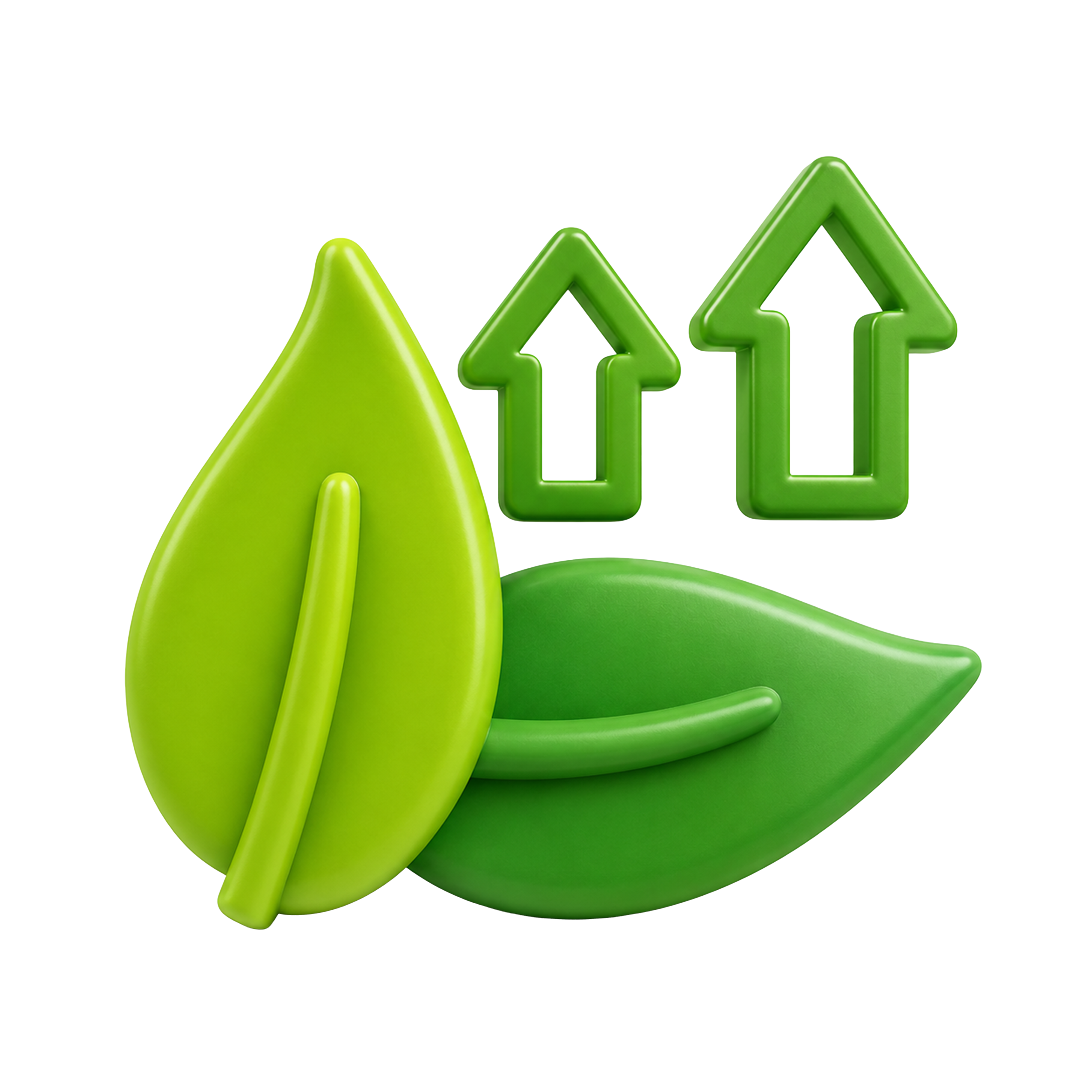 Dietary Fiber
