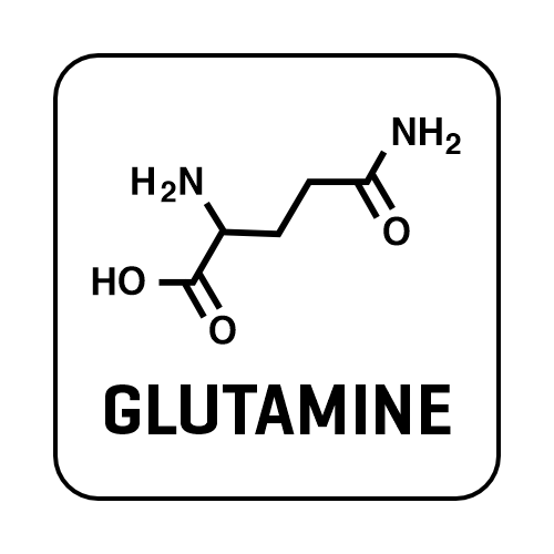 L-Glutamine