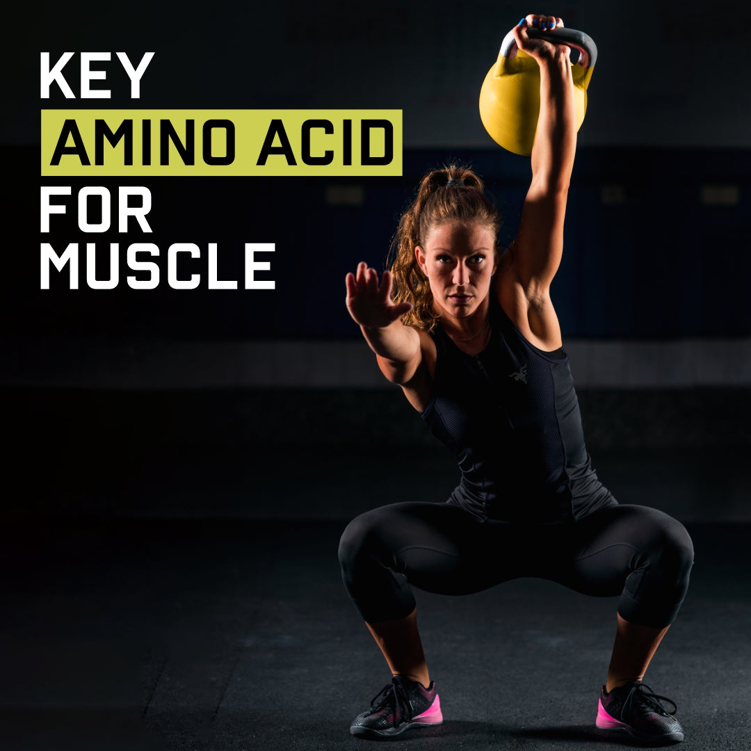 glutamine with Key Amino Acid for Muscle 